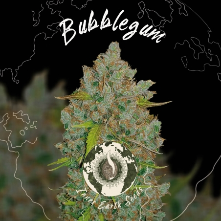 Bubblegum - Inner Earth Seeds - Next Level