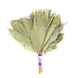 Chakapa - Groot met Shipibo design - handgemaakt ceremonieel instrument