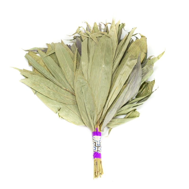 Chakapa - Groot met Shipibo design - handgemaakt ceremonieel instrument