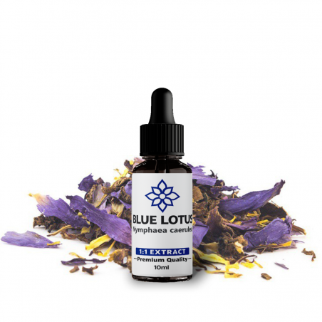 Blue Lotus 1:1 Liquid Extract | Alcohol Free - Tinctures & Extracts - Next Level