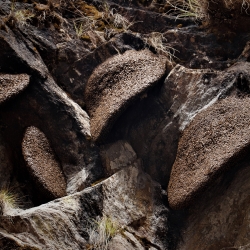 Mad Honey (Nepal) - natural honey