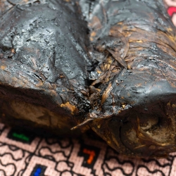 Arapiraca Mapacho Rol (Nicotiana Rustica) - ceremonieel blad voor ritueel gebruik Arapiraca Mapacho Rol (Nicotiana Rustica) - ceremonieel blad voor ritueel gebruik