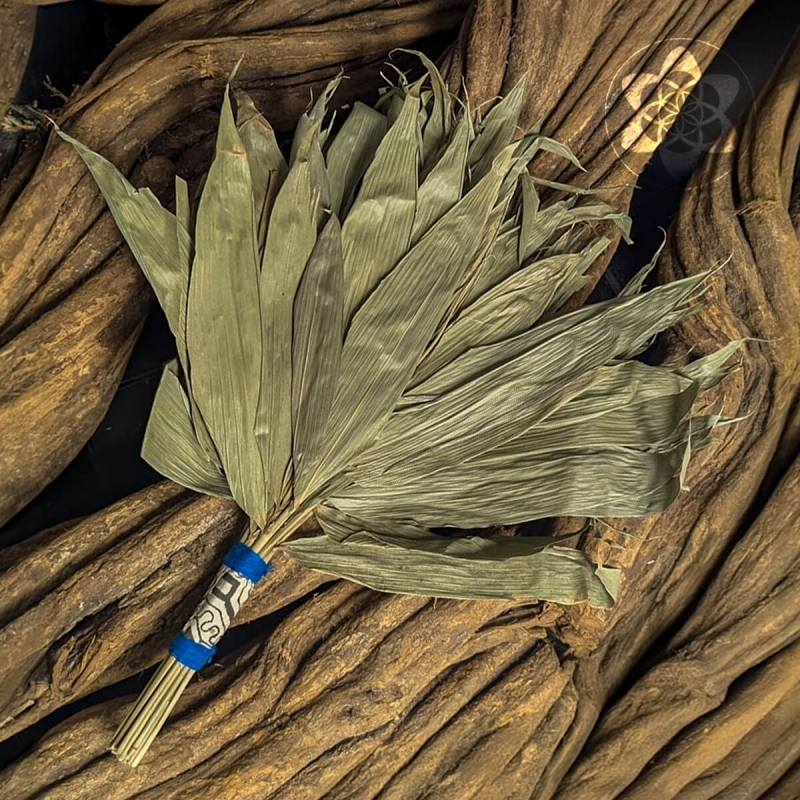 Chakapa - Large with Shipibo design - handcrafted ceremonial instrument - craftsmanship detail