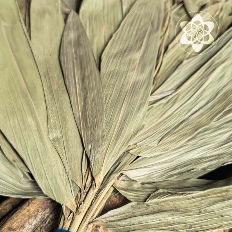 Chakapa - Groot met Shipibo design - handgemaakt ceremonieel instrument - achterzijde