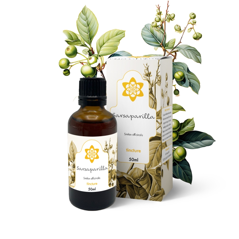 Sarsaparilla Tinctuur - 50ml - vloeibaar plantenextract