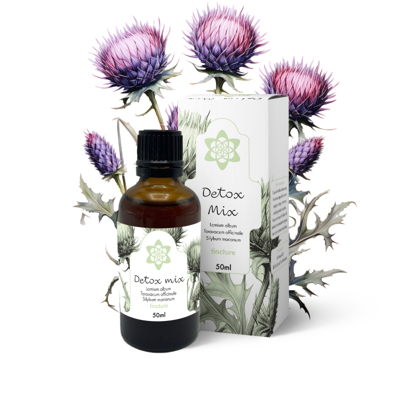 Detox Tinctuur - 50ml - vloeibaar plantenextract