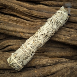 Witte Salie Smudge Stick XL - energetische zuiveringsbundel - productoverzicht