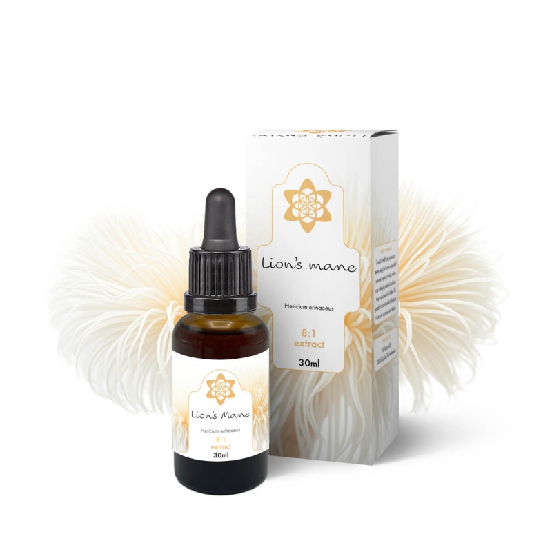 Lion's Mane - Liquid Paddenstoel Extract (30ml) - vloeibaar medicinaal paddenstoelextract - productoverzicht Lion's Mane - Liquid Paddenstoel Extract (30ml) - vloeibaar medicinaal paddenstoelextract - productoverzicht