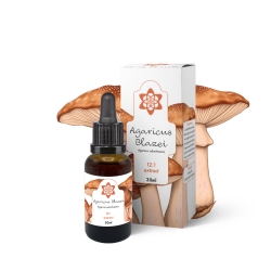 Premium Amandelpaddenstoel 12:1 Extract (Agaricus Blazei) - medicinaal paddenstoelextract