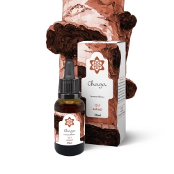 Chaga - Mushroom Liquid Extract - liquid medicinal mushroom extract - close-up detail