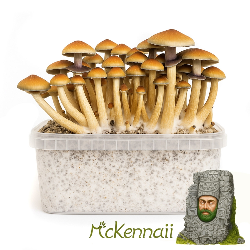 McKennaii Paddo Grow Kit - compleet paddo kweekpakket - kweekset inhoud