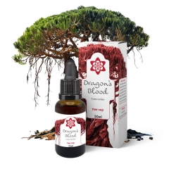 Dragon's Blood | Croton Lechleri Hars