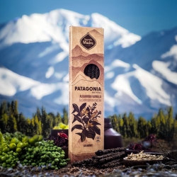 Vanilla & Carob - Patagonia Wierook - ambachtelijke Argentijnse geurstokjes