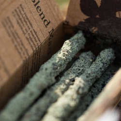 Gaia - Masala Blend Incense - Indian masala blend incense sticks - incense sticks close-up