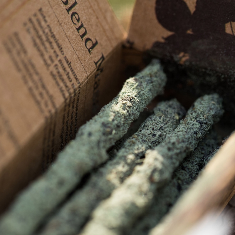 Gaia - Masala Blend Incense - Indian masala blend incense sticks - incense sticks close-up