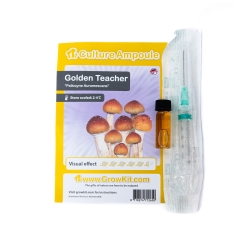 Golden Teacher Cultuur Ampul | Vloeibaar Mycelium Kweekampul