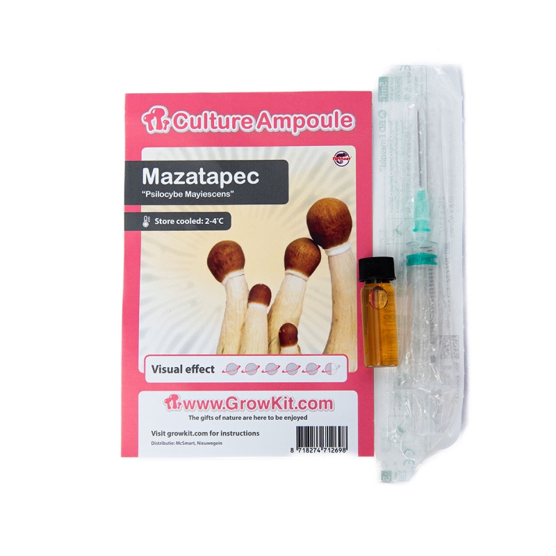 Mazatapec Cultuur Ampul - vloeibaar mycelium voor kweek