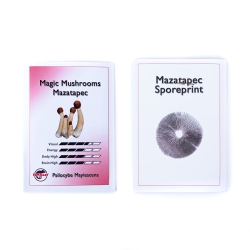 Mazatapec Sporen Print | Psilocybe Cubensis Sporenprint