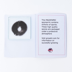 Mazatapec Spore Print - fresh psilocybin truffles - packaging and contents