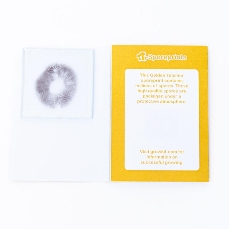 Golden Teacher Spore Print - fresh psilocybin truffles
