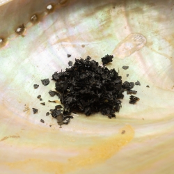 Salvia Extract 40x Concentrated - Salvia Divinorum extract - close-up detail