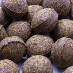 Butterfly Pea Flower - Primitiva Pills (45g) - Indonesian herbal capsules - close-up detail Butterfly Pea Flower - Primitiva Pills (45g) - Indonesian herbal capsules - close-up detail