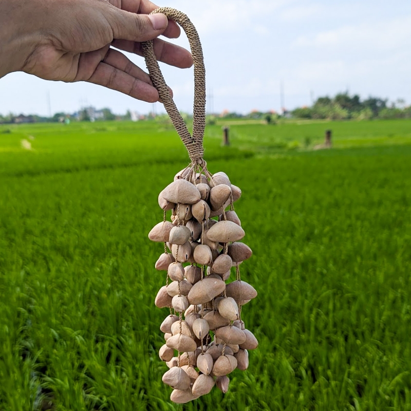 Sjamanistische Seed Shaker - Kenari - handgemaakt ceremonieel instrument - bovenaanzicht