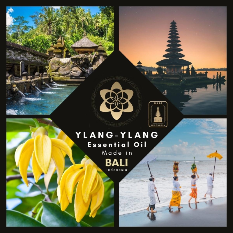 Ylang Ylang Essenti&euml;le Olie Kopen | Zoet Sensueel Tropisch