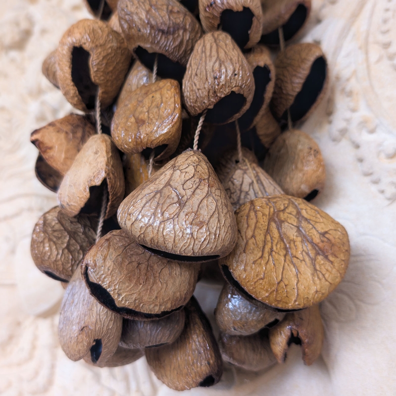 Shamanic Seed Shaker Large - Pangi - handcrafted ceremonial instrument - top view