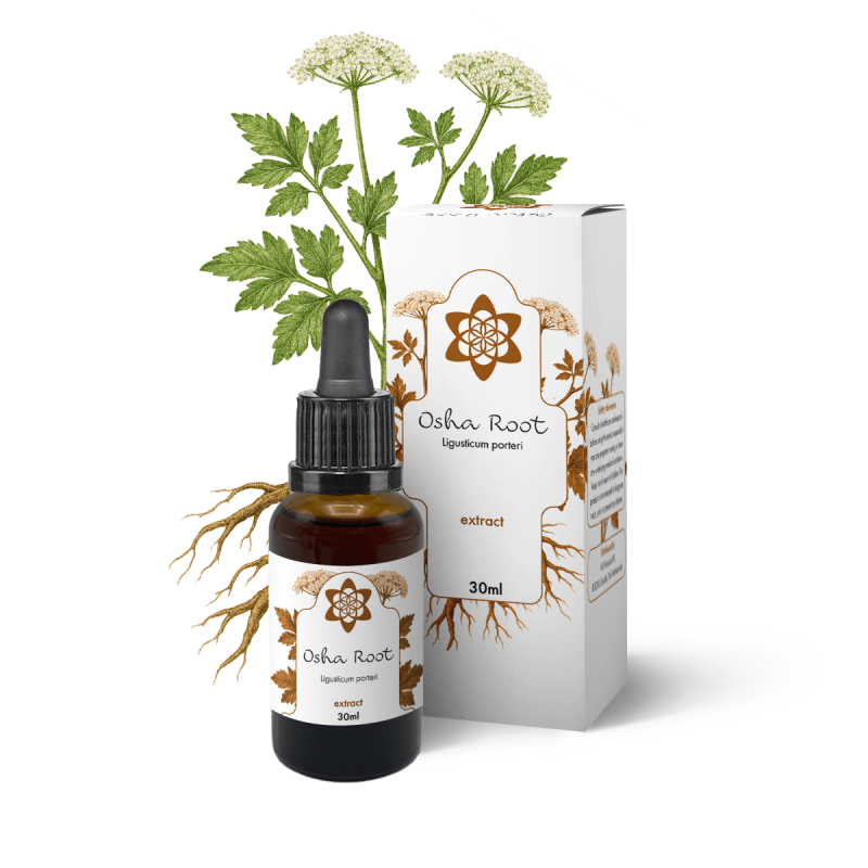 Osha Root Spagyric Extract - 30ml - vloeibaar plantenextract