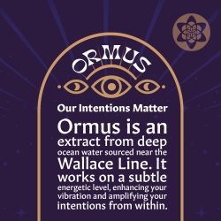 Ormus Infused Guarana Extract - enriched plant extract - close-up detail