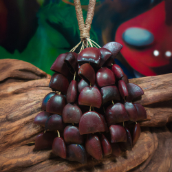 Shamanic Seed Shaker - Bendo - handcrafted ceremonial instrument