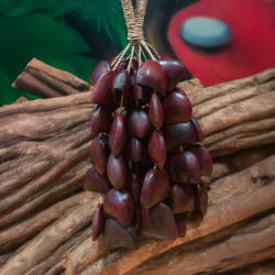 Shamanic Seed Shaker - Bendo - handcrafted ceremonial instrument - top view