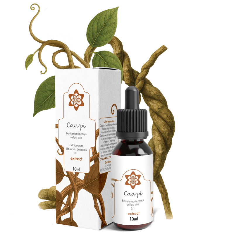 Caapi Yellow Extract 3:1 - Banisteriopsis Caapi - concentrated vine extract