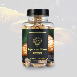 Agaricus Blazei Mushroom Extract - medicinal mushroom extract