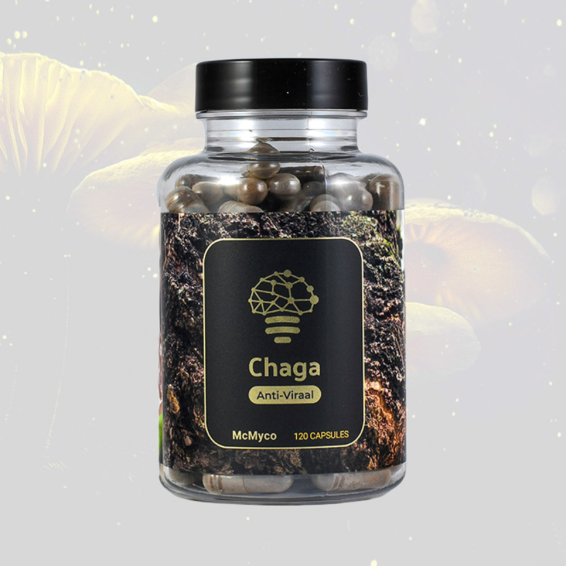 Chaga Mushroom Extract (120 caps) - medicinal mushroom extract capsules