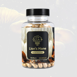 Lion's Mane Mushroom Extract (120 caps) - medicinal mushroom extract capsules