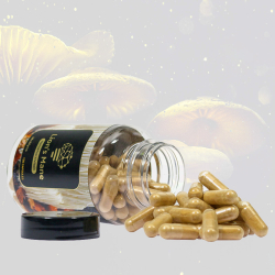 Lion's Mane Mushroom Extract (120 caps) - medicinal mushroom extract capsules - product overview Lion's Mane Mushroom Extract (120 caps) - medicinal mushroom extract capsules - product overview