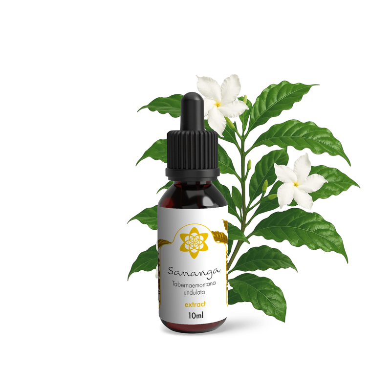 Sananga Drops - liquid herbal extract