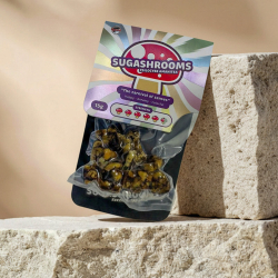 SugaShrooms Magic Truffels - verse psilocybine truffels