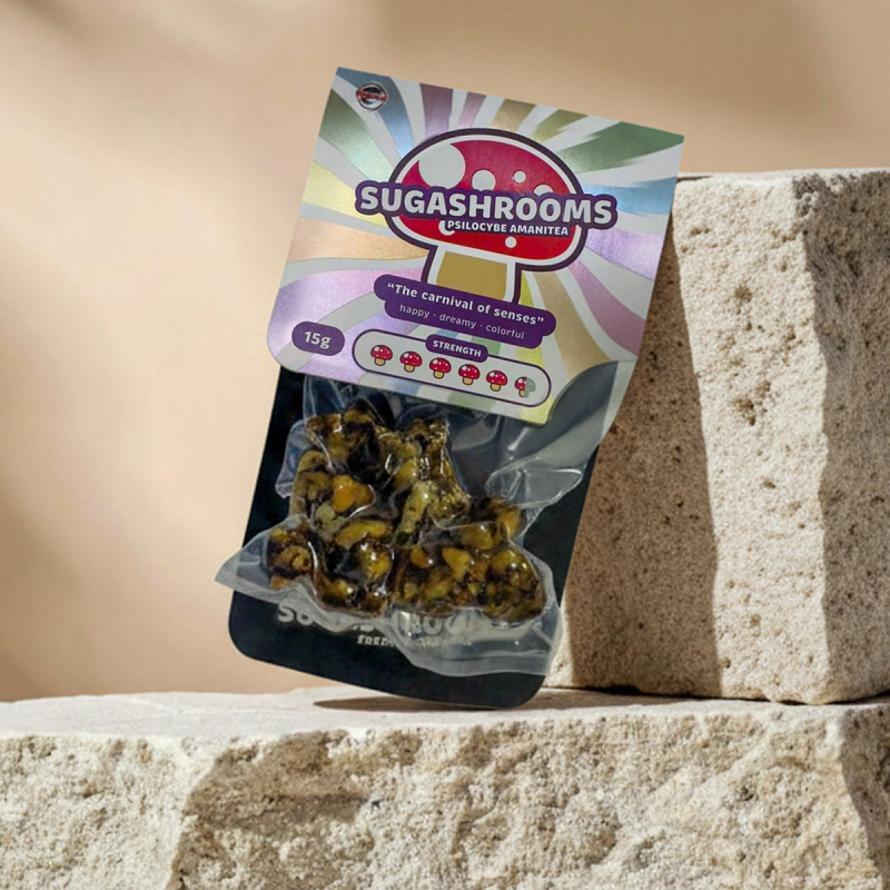 SugaShrooms Magic Truffels - verse psilocybine truffels SugaShrooms Magic Truffels - verse psilocybine truffels