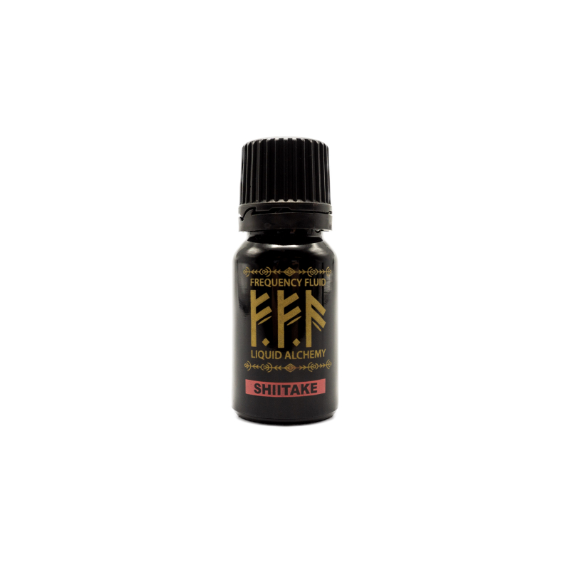 Shiitake Extract - Natural Adaptogen (10ml) - medicinal mushroom extract
