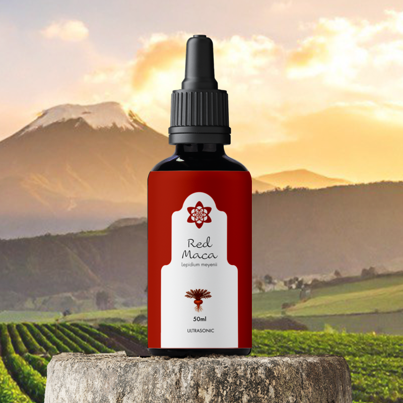 Red Maca Extract - Concentrated - liquid herbal extract