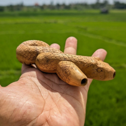 Teak Kuripe - Sacred Snake - handgemaakte rap&eacute; zelfapplicator - mondstuk detailopname