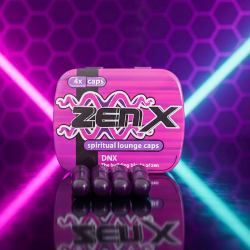 ZenX - 4 capsules - natural herbal capsules