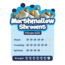 Marshmallow Shrooms &bull; Premium Paddo Growkit - 1200 cc - compleet paddo kweekpakket - kweekset inhoud