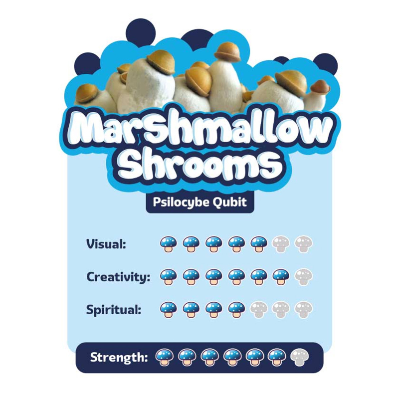 Marshmallow Shrooms Growkit - 1200cc | McSmart Limited Edition