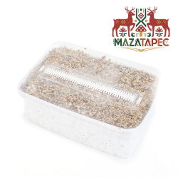 Mazatapec Magic Mushroom Grow Kit - complete mushroom cultivation kit - kit contents overview Mazatapec Magic Mushroom Grow Kit - complete mushroom cultivation kit - kit contents overview