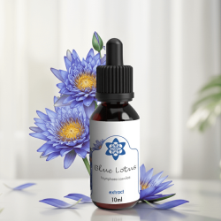 Blue Lotus Extract - Nymphaea Caerulea extract