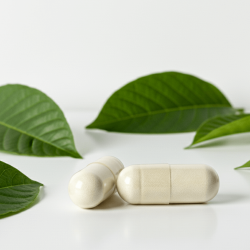 Kratom Extract Caps Maeng Da | 85-110mg - Next Level